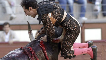 GRAVE COGIDA EN LAS VENTAS