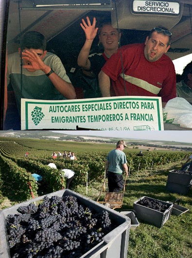 DRAMA ESPA&Ntilde;OL: ANSIAS DE TRABAJAR