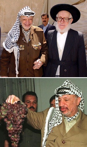 ALEGATO DE LA FUNDACIÓN YASSER ARAFAT