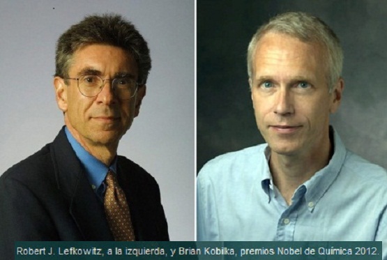 NOBEL DE QU&Iacute;MICA
