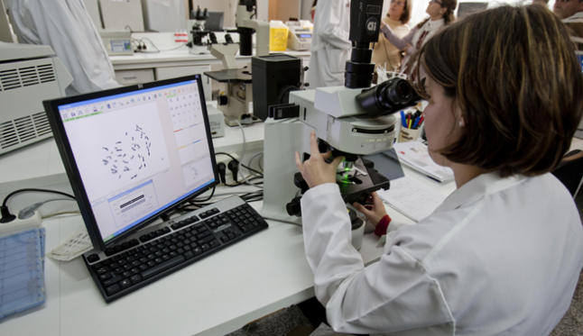 INVESTIGACI&Oacute;N ESPA&Ntilde;OLA