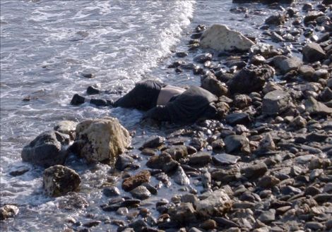 M&Aacute;S VIDAS PERDIDAS EN EL MAR