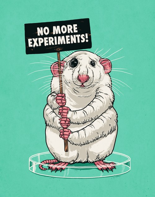 NO M&Aacute;S EXPERIMENTACI&Oacute;N COSM&Eacute;TICA EN ANIMALES