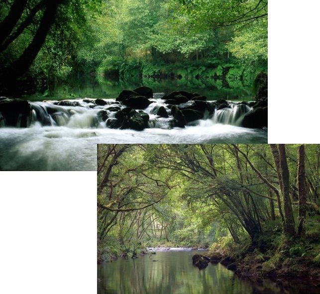 NUEVAS RESERVAS DE LA BIOSFERA PARA ESPAÑA