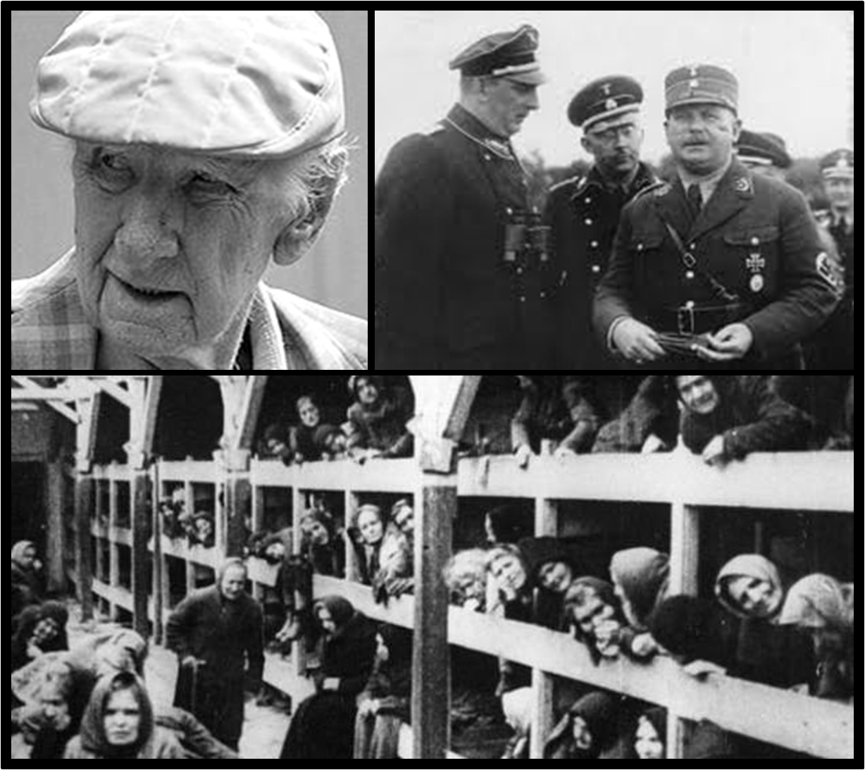 ACUSACIÓN CONTRA CRIMINAL DE GUERRA NAZI