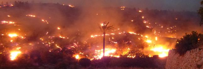 GRAN INCENDIO EN PALMA DE MALLORCA