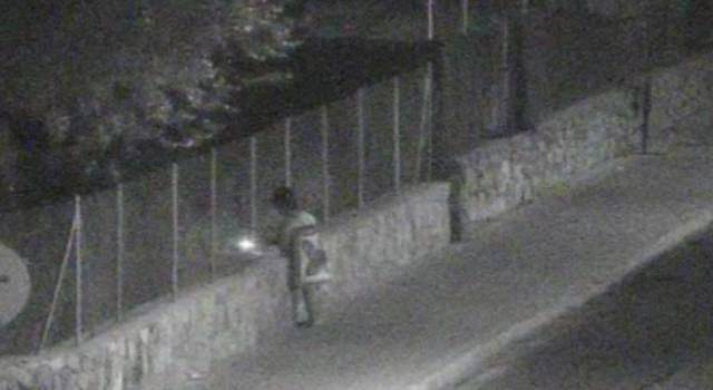 DETENIDA UNA PIROMANA EN GALICIA