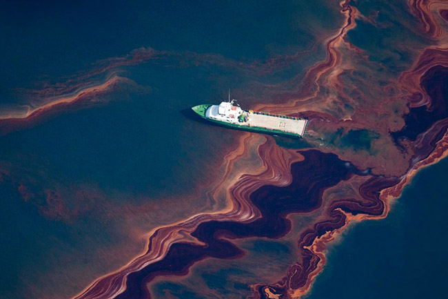 UN DESASTRE ECOLÓGICO OCULTO