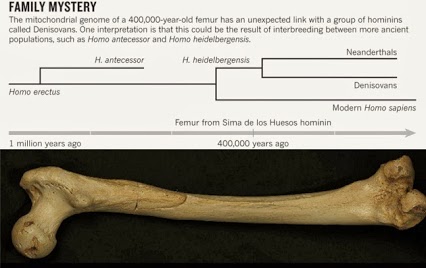 ATAPUERCA EN LA LISTA DE HALLAZGOS DEL MILENIO