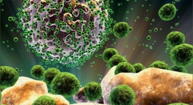 EL LUPUS CONTROLA EL DESARROLLO DEL VIH