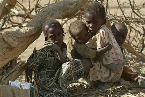 CIFRAS QUE DAN ASCO Y VERGÜENZA DE HUMANIDAD