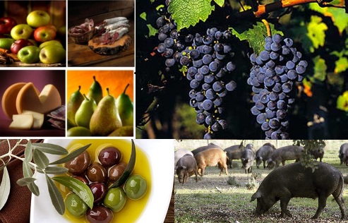 ESPAÑA ES UNA POTENCIA AGROALIMENTARIA MUNDIAL