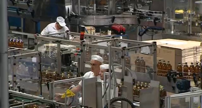 ESPAÑA ES LÍDER MUNDIAL EN VENTAS DE ACEITE DE OLIVA