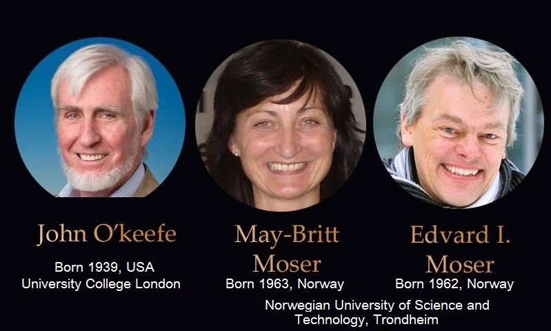 NOBEL DE MEDICINA 2014 PARA EL "GPS DEL CEREBRO"