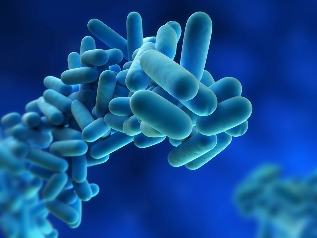 DOS NUEVAS VÍCTIMAS POR LEGIONELLA EN CATALUÑA