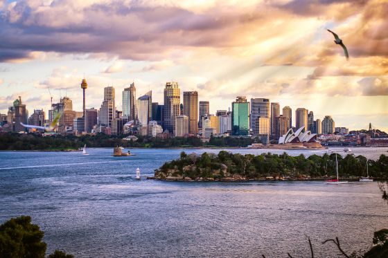 20150113 sidney