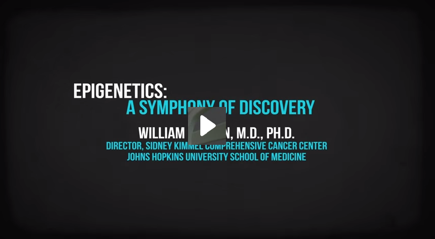 20150218 epigeneticscancer