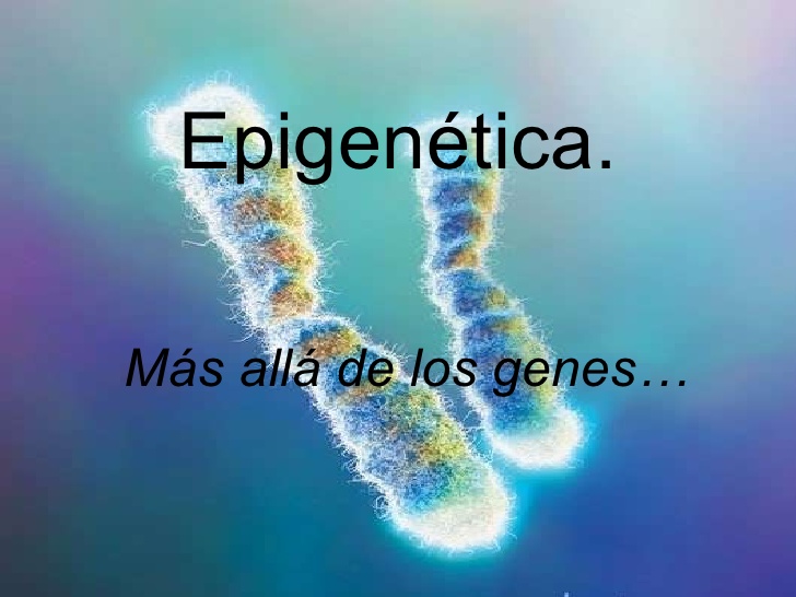 MAPA DEL EPIGENOMA HUMANO