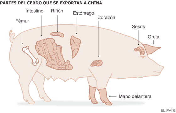 20150303 cerdo