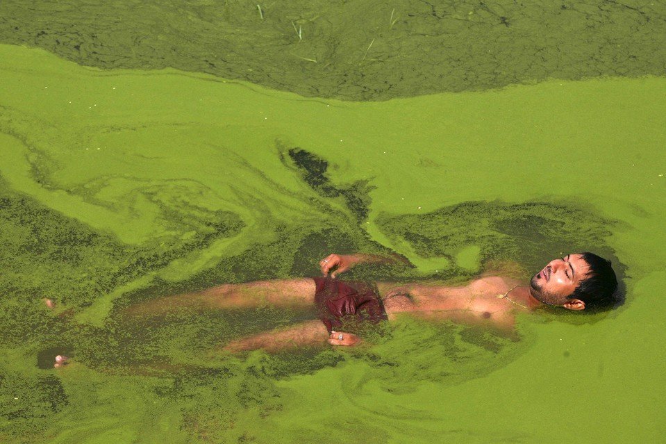 EN LA INDIA SE MUEREN DE CALOR