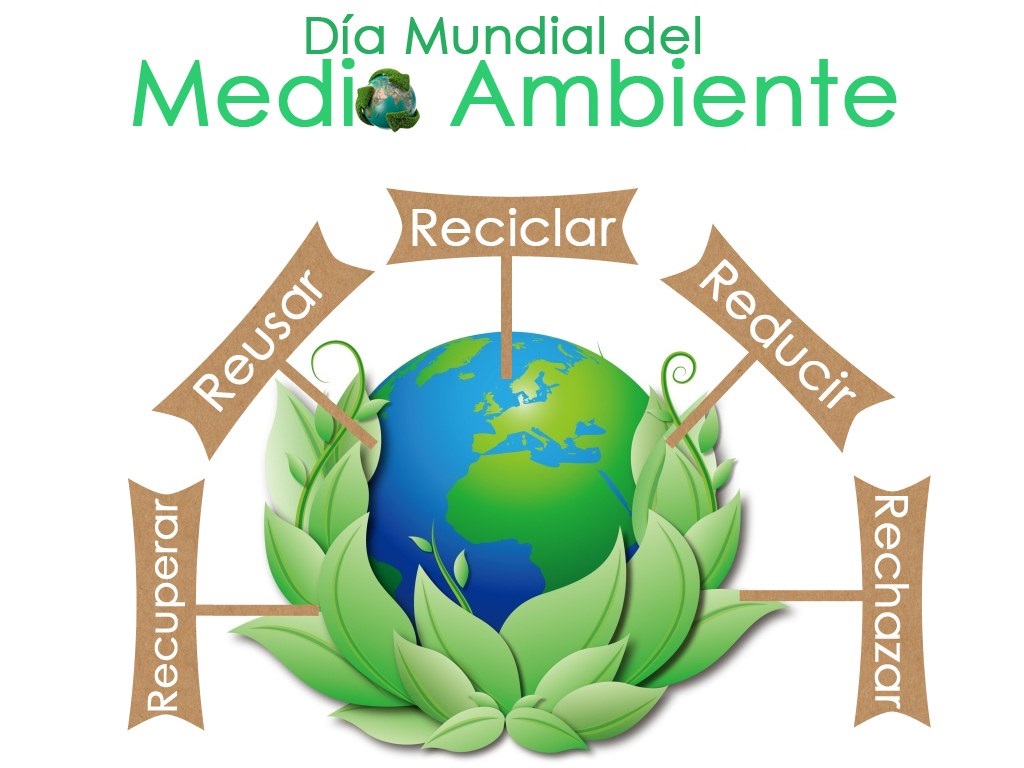 EL MEDIO AMBIENTE ESTÁ MEDIO AMBIENTADO
