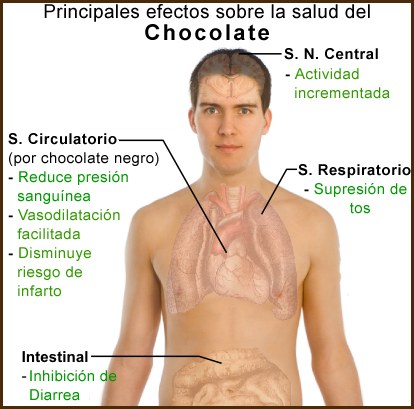 20150616 Principales efectos sobre la salud del chocolate