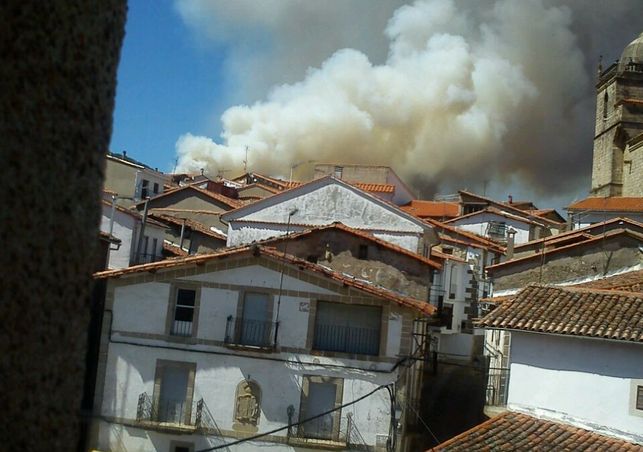 20150807 Acebo Gata Extremadura