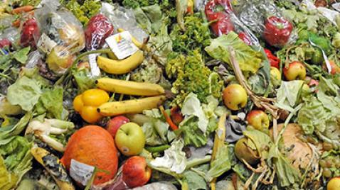 LAS CAUSAS DEL HAMBRE AFECTAN AL CAMBIO CLIMÁTICO