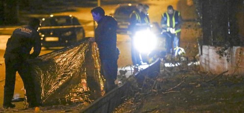 OTRO FALLECIDO A CAUSA DE UN ÁRBOL, ESTA VEZ EN ALCORCÓN
