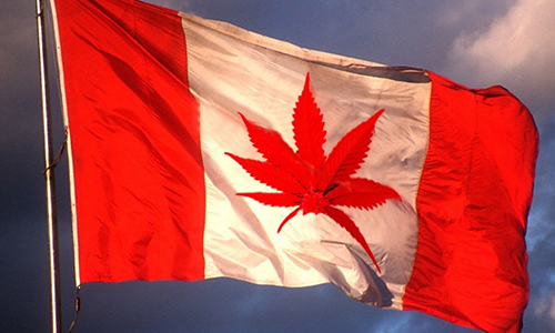 EL CANNABIS SERÁ LEGAL EN CANADÁ EN 2016