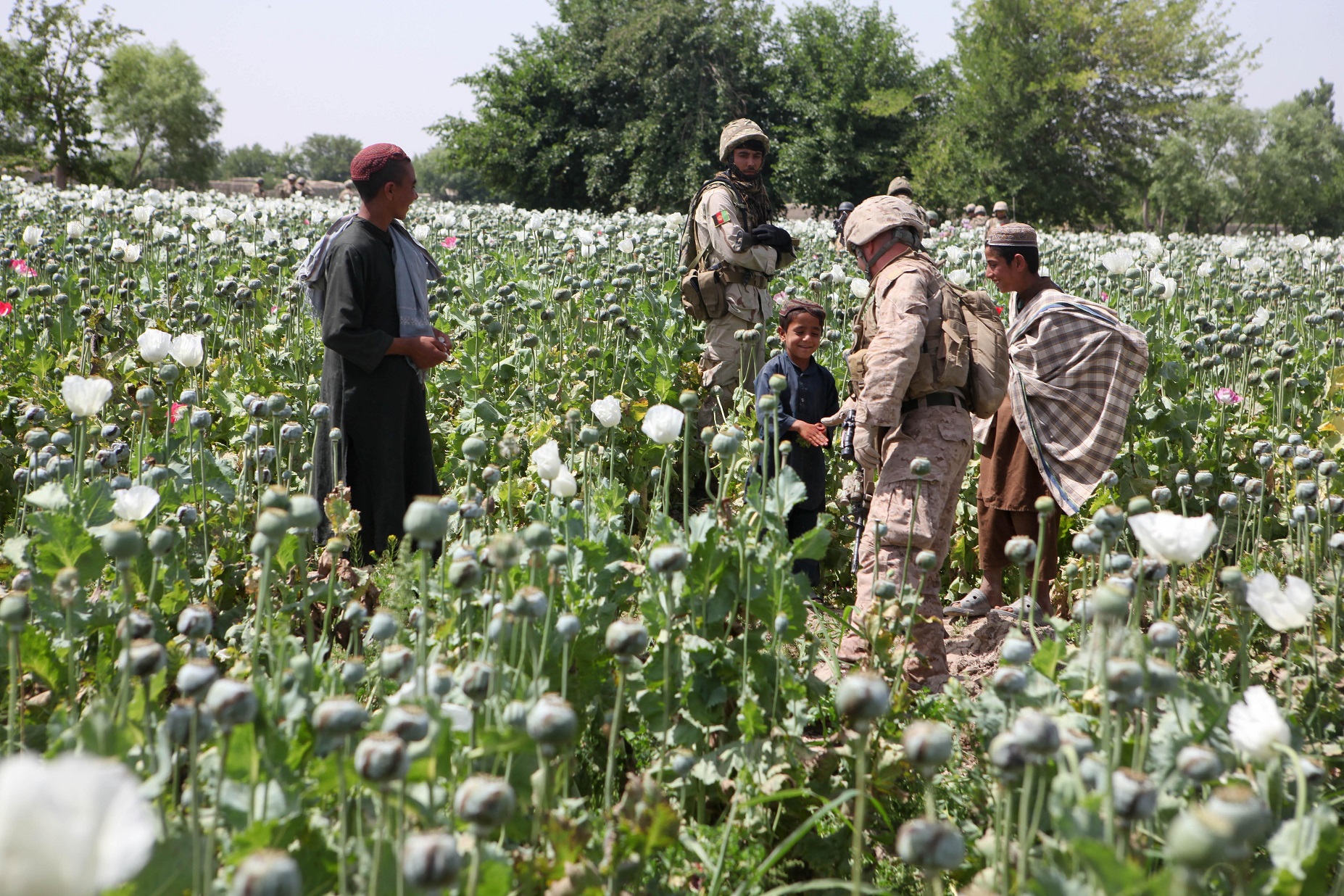LOS TALIBÁN SIGUEN RETOMANDO TERRITORIO