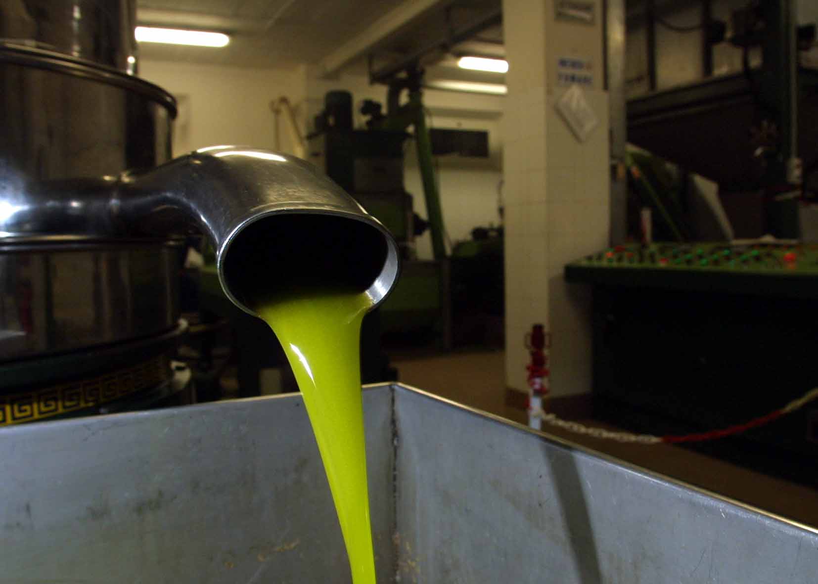 EL FRAUDE Y EL ENGAÑO DE LAS 2.000 TONELADAS DE ACEITE DE OLIVA VIRGEN EXTRA ITALIANO