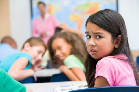 LAS ESCUELAS ESPAÑOLAS DEJAN MUCHO QUE DESEAR