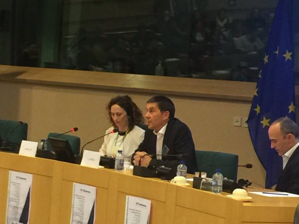 POLÉMICA INTERVENCIÓN DE OTEGI EN LA EUROCÁMARA