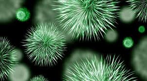 MAS DE UN BILLÓN DE ESPECIES HABITAN EN ESTE PLANETA