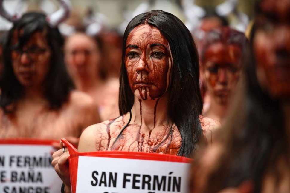 SANGRIENTA PROTESTA DE LOS ANIMALISTAS EN PAMPLONA