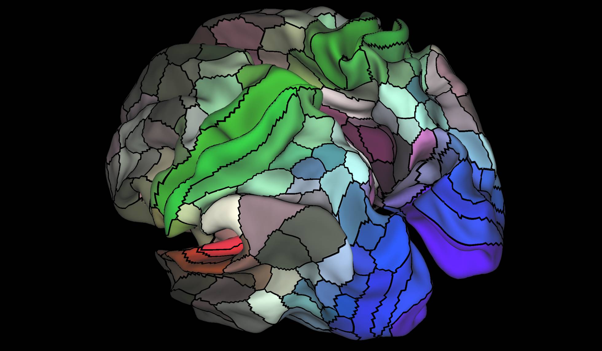 SE AMPLÍA EL MAPA DEL CÓRTEX CEREBRAL