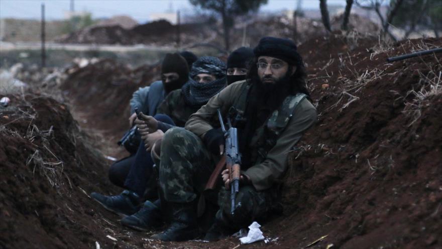 20160729 alnusra