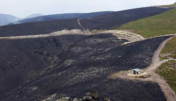 REMITEN LOS INCENDIOS EN GALICIA