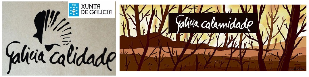 LA CALAMIDAD GALLEGA DE LOS INCENDIOS FORESTALES PROVOCADOS