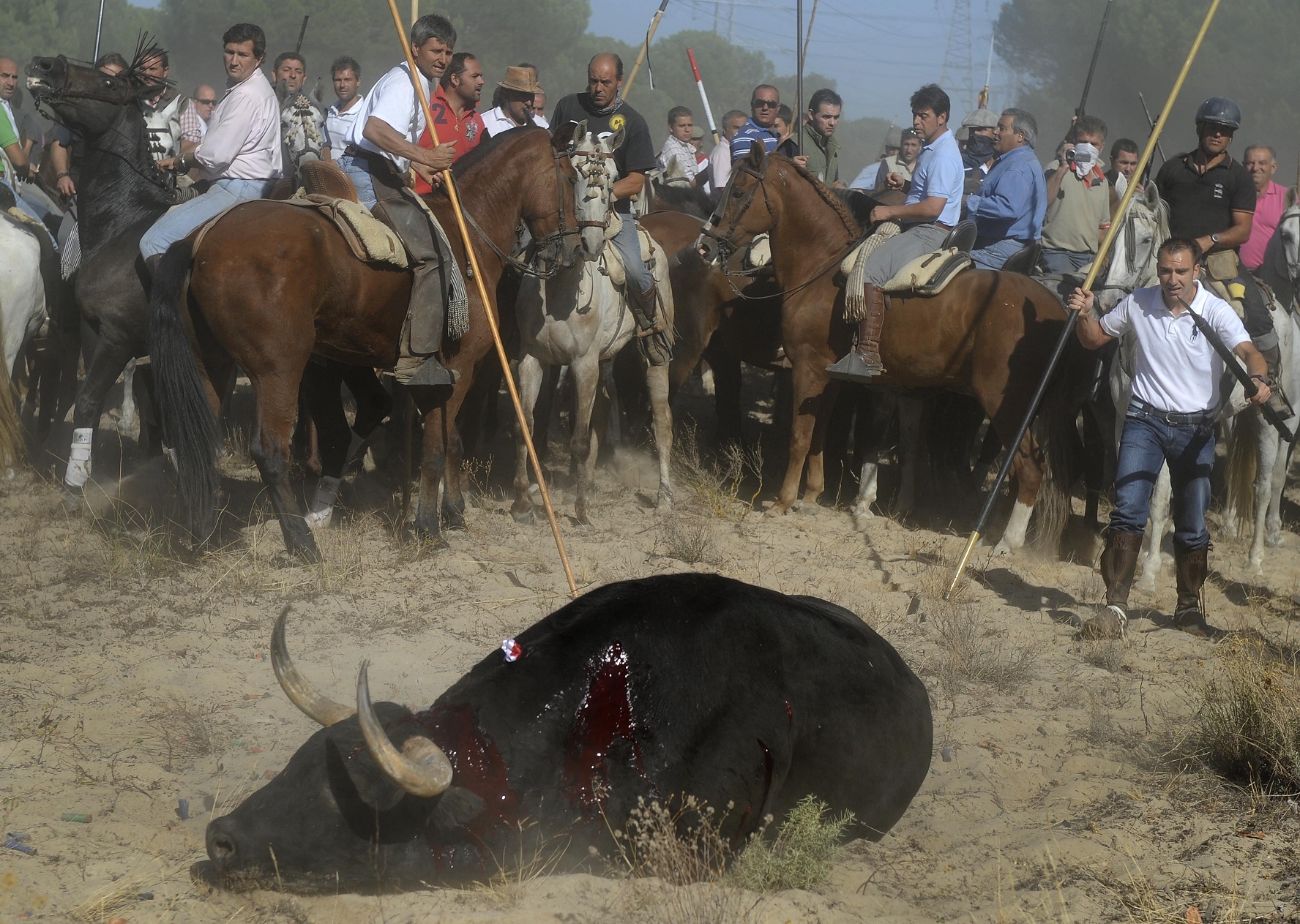 NO SABEMOS SI HABRÁ (O NO) ESTE AÑO EL FESTEJO DEL “TORO DE LA VEGA”