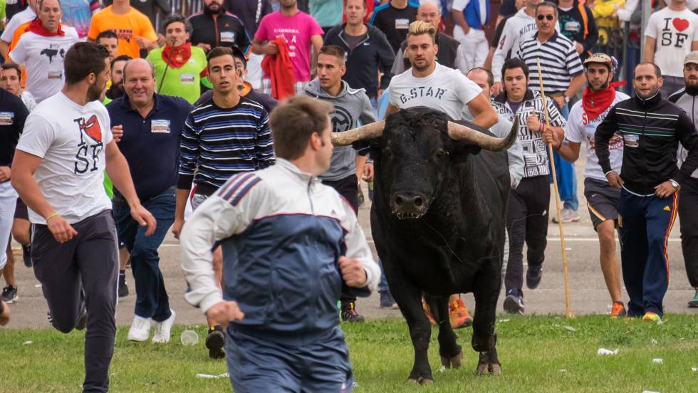 EL TORO "PELADO" SE SALVÓ EN TORDESILLAS