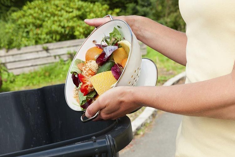DINAMARCA REDUCE UN 25% EL DESPERDICIO DE ALIMENTOS