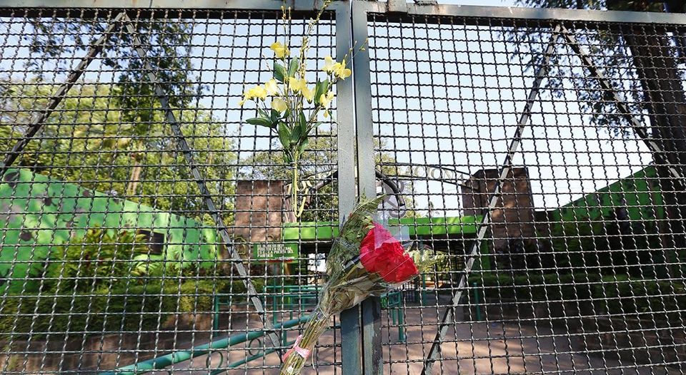 DESCONCERTANTE RESPUESTA EN EL SALVADOR POR LA MUERTE DE ‘GUSTAVITO’