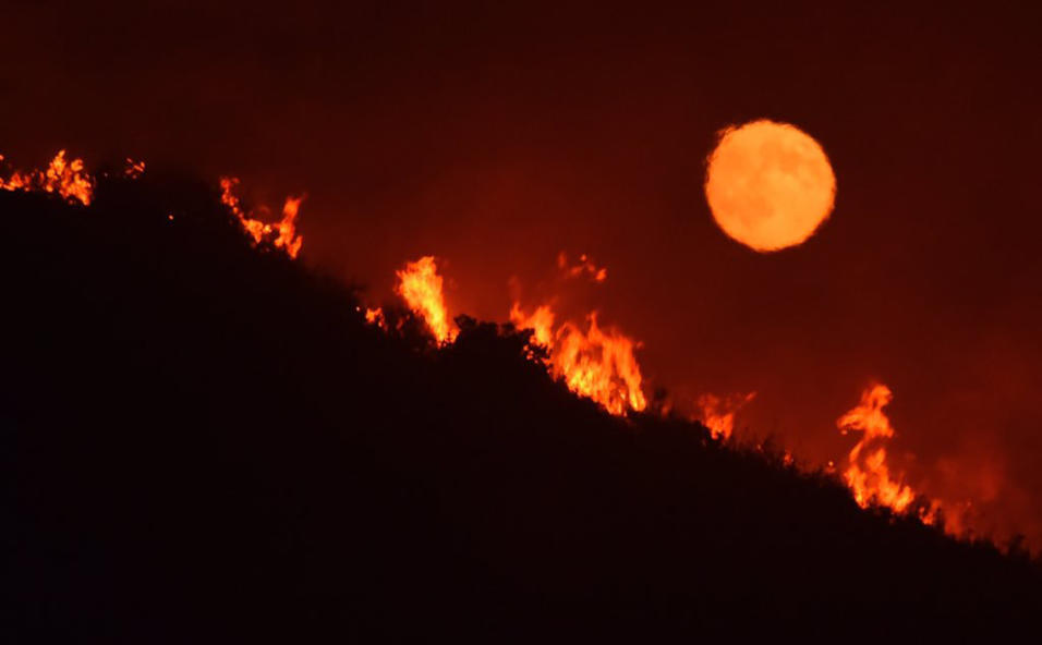 CALIFORNIA ES UN HORNO ARDIENDO