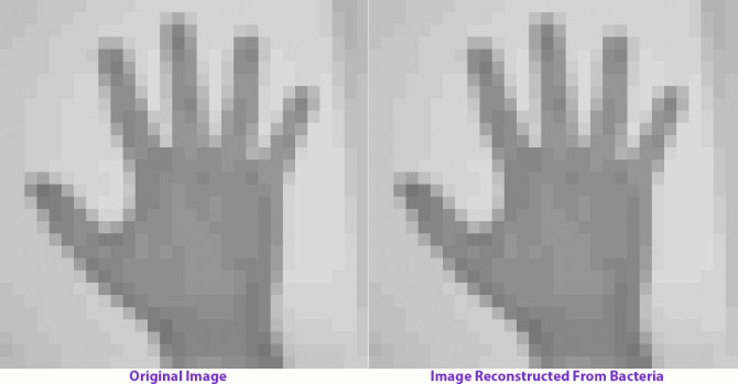 20170713 hand