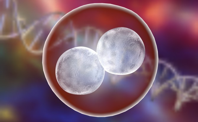 EXITOSO ‘CORTA Y PEGA’ GENÉTICO (CRISPR) EN EMBRIONES HUMANOS