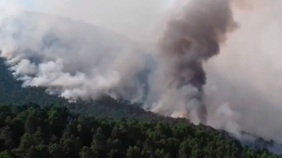 ARDE ALBACETE