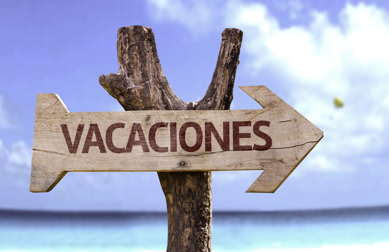 TODOS SE VAN HOY DE VACACIONES