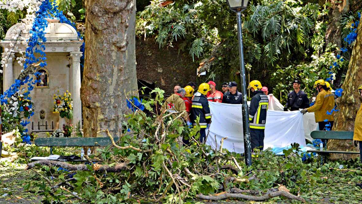 ARBOL CENTENARIO CAE SOBRE ASISTENTES A UN ACTO RELIGIOSO EN LA ISLA DE MADEIRA